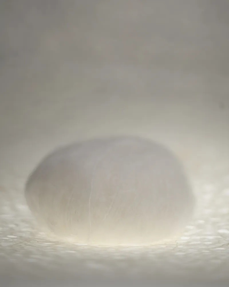 Identified, 2009, archival pigment ink on photopaper -